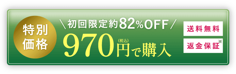 特別価格970円（税込）で購入