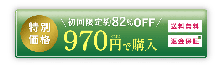 特別価格970円（税込）で購入