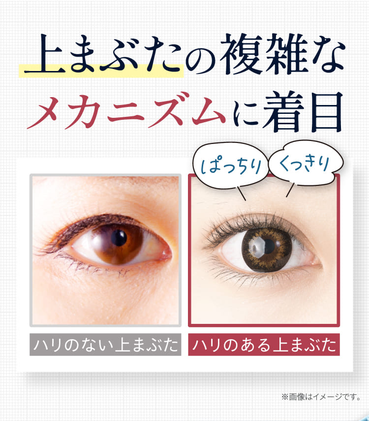 Eye Act アイアクト | spine
